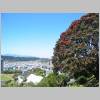 Wellington 017.jpg